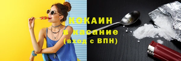 МДПВ Дмитриев