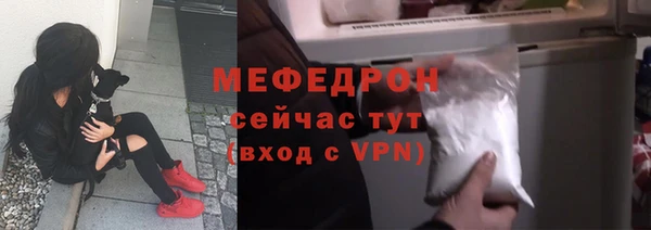 МДПВ Дмитриев
