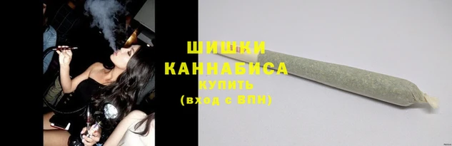 МДПВ Дмитриев