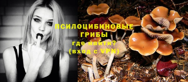 дурь Ельня