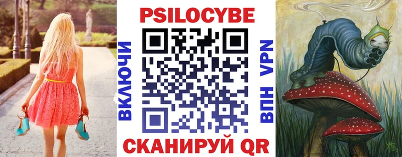 Купить где  Гатчина  Псилоцибиновые грибы мухоморы 